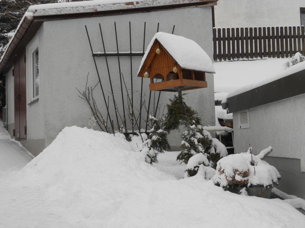 Ferienhaus Zittau Oberlausitz & Ferienwohnung Am Hamann Berg Екстер'єр фото